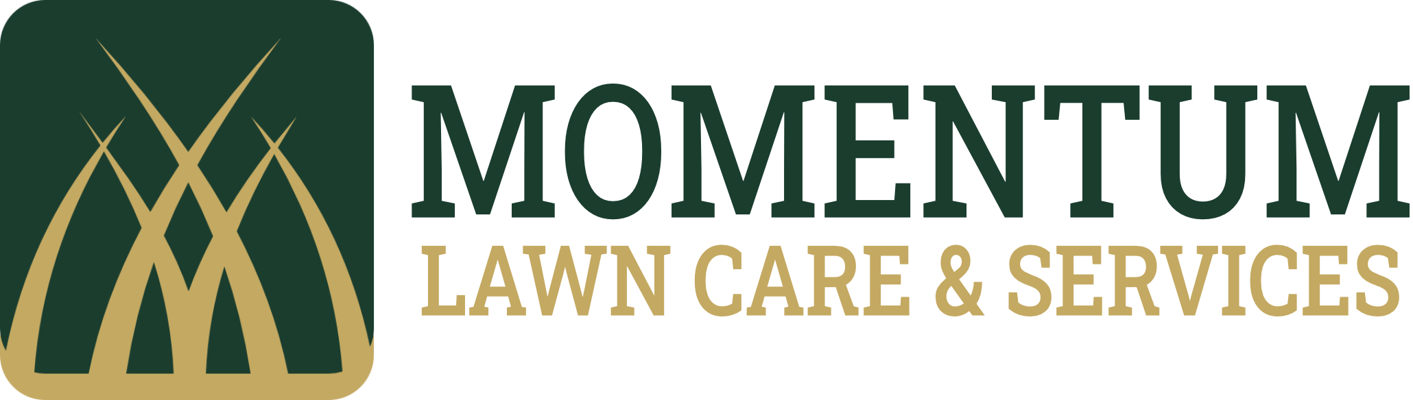 Momentum Lawn Care & Services
